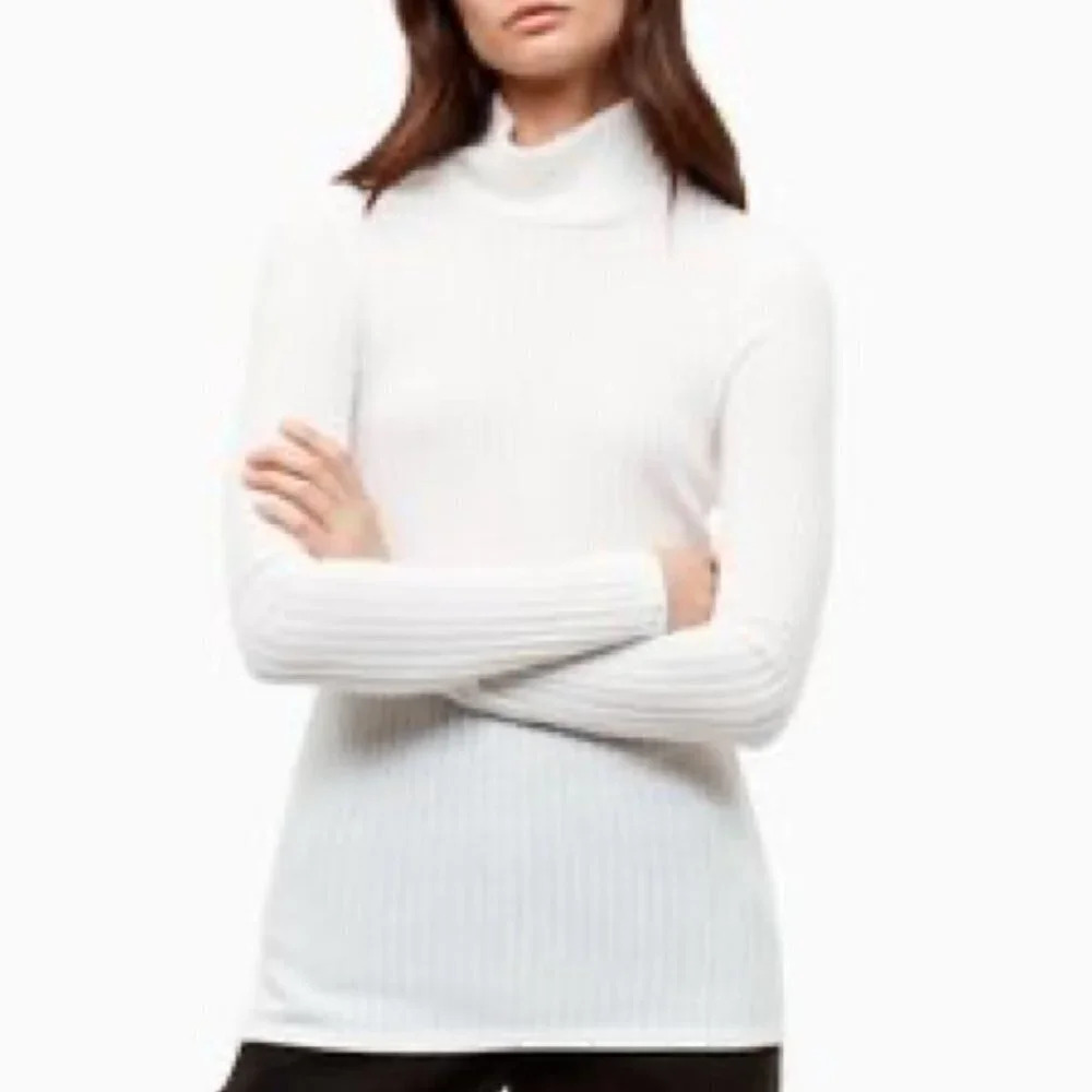 Aritzia Wilfred Ivory Mock Neck Ribbed Buswell Tshirt